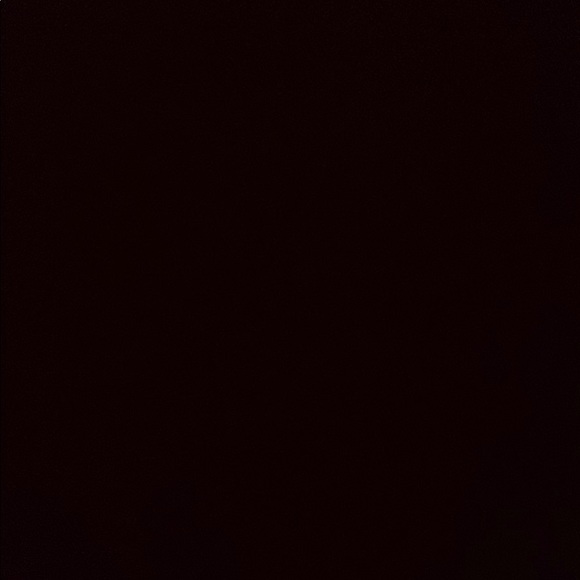 Meet your Posher, Dannielle - Picture 1 of 1